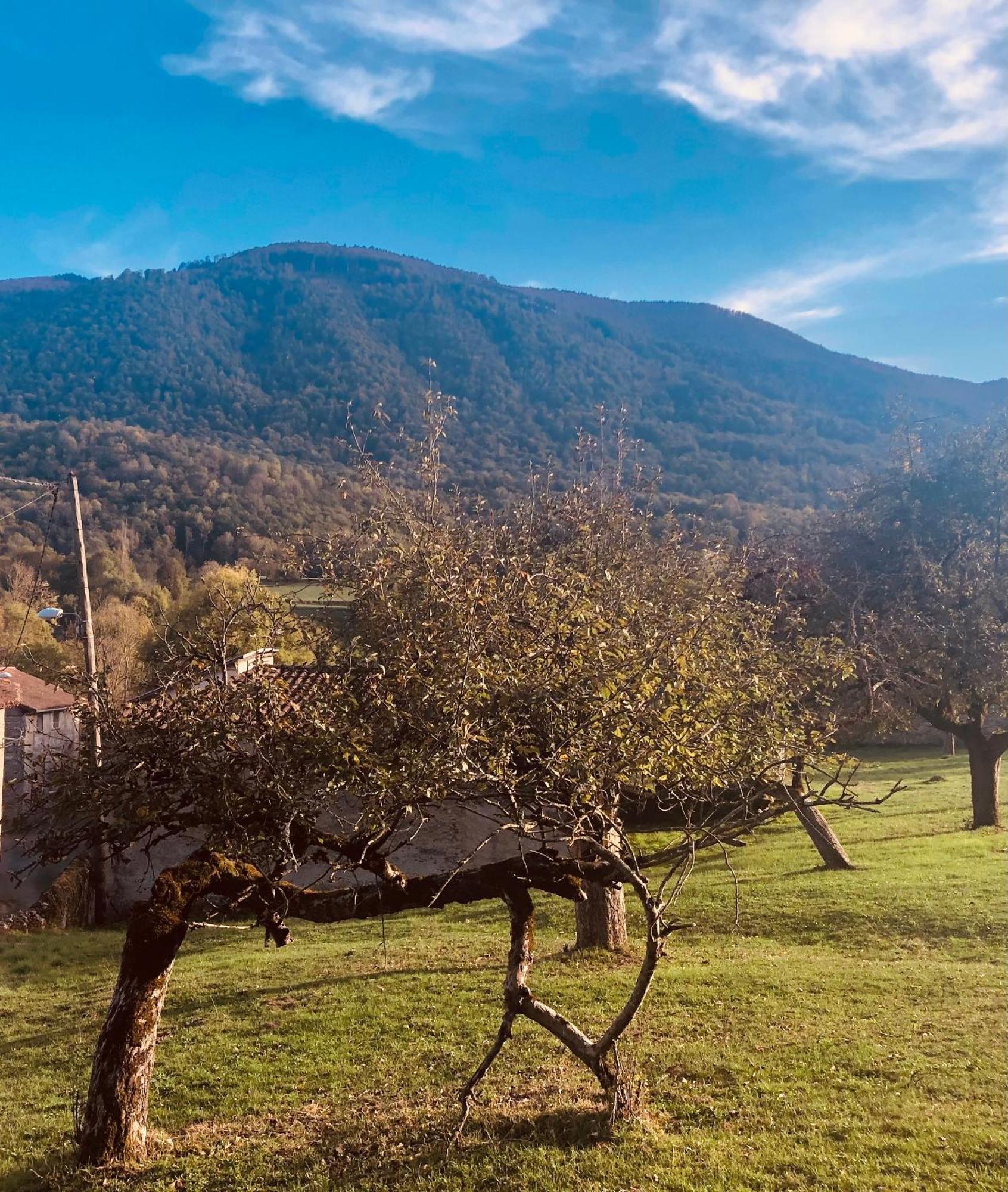 Ferienhaus Le Clos Baroussais *